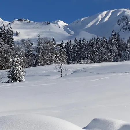 4* Pour 10 Pers. Avec Cheminee Et Bain Norvegien, Proche Pistes - - Fr-1-467-100 * رون - ألب